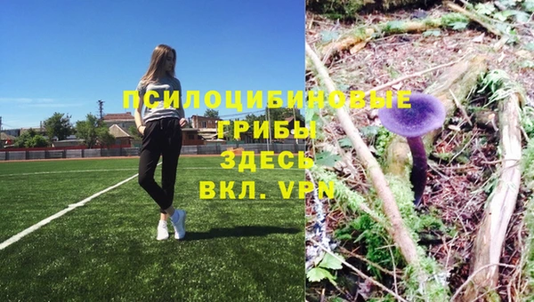 кристаллы Туринск