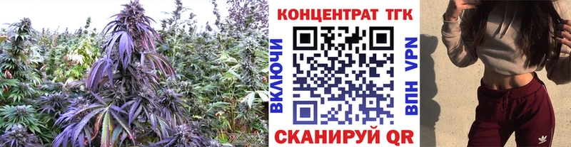 ТГК THC oil  Луга 