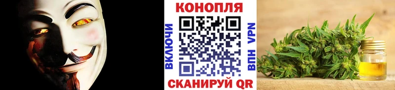 закладка Луга Конопля MAZAR